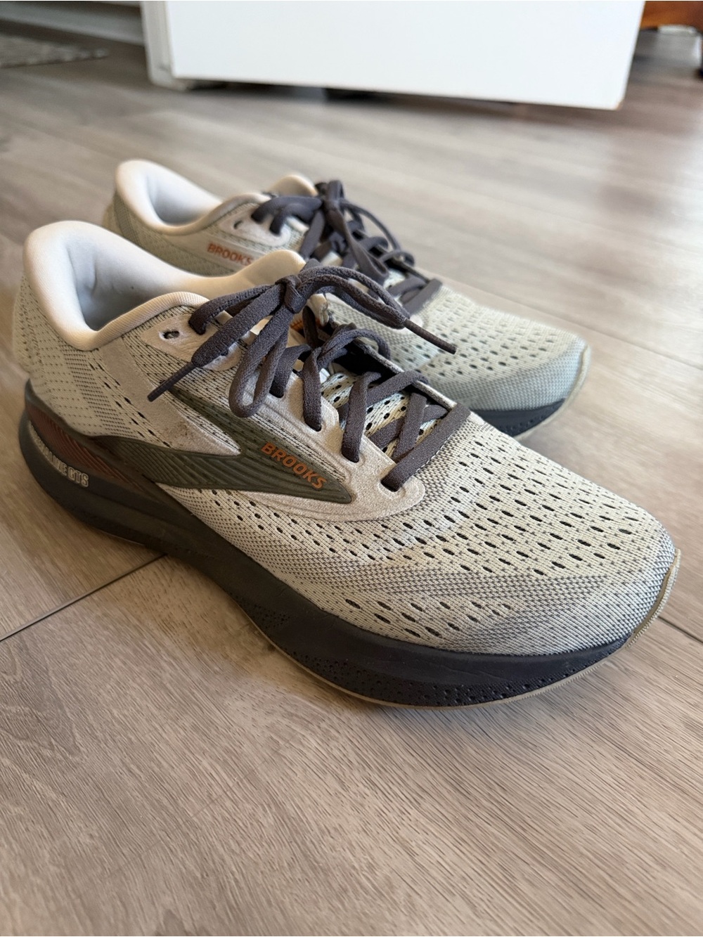 Brooks Women’s Adrenaline GTS 24 Running Shoe